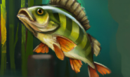 v1.3.8-EDGE 重启后键盘快捷键消失 #427 关闭